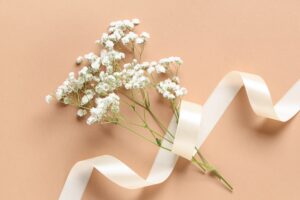 Amarilis